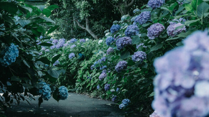 Party All June Long: Exciting Celebrations to Kickstart Summer!