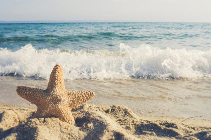 summer-fun-alert-celebrate-julys-global-holidays.jpg Summer Fun Alert: Celebrate July’s Global Holidays!