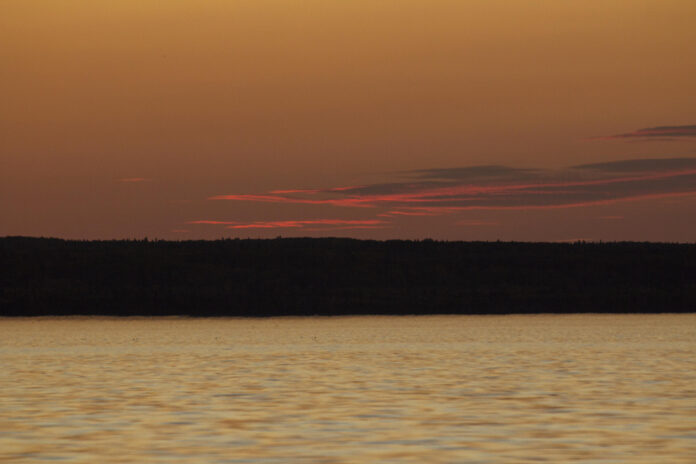 August Festivities: Delightful Holidays to Celebrate!