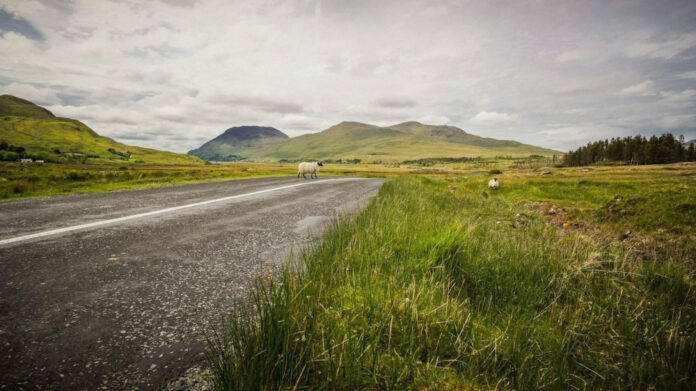 September Bliss: Unveiling the Best Holidays to Brighten Your Fall!