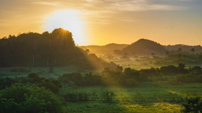 Looking for the Best Good Morning Sayings? We’ve Got You Covered!