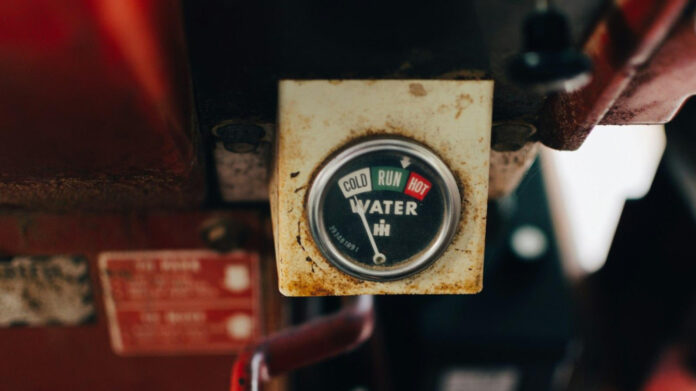 All the International Days to Celebrate in August: A Month Full of Global Festivities