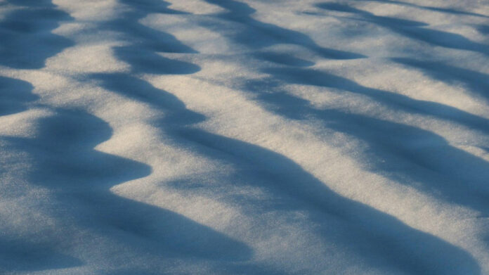 February Fun: Exploring Exciting Holidays