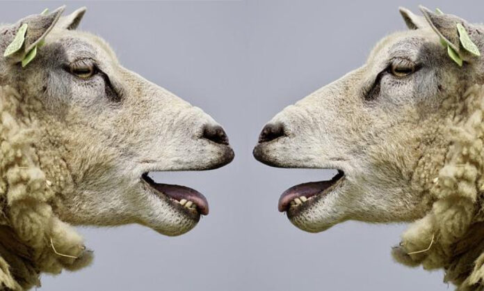 When Communication Turns Sour: Handling a Yelling Spouse