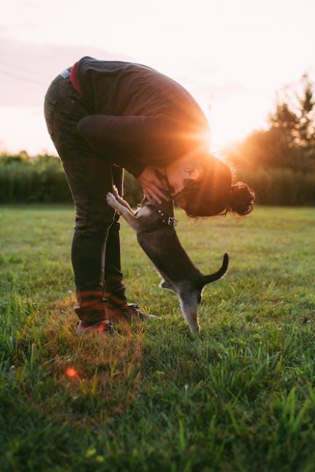 enhancing-your-canines-health-a-comprehensive-guide-to-dog-edibles.jpeg Enhancing Your Canine’s Health: A Comprehensive Guide to Dog Edibles