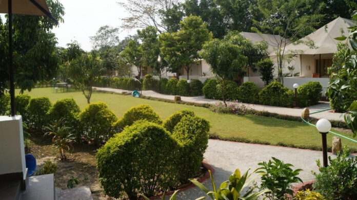 Unleash Your Potential with Inspiring Jim Rohn Quotes