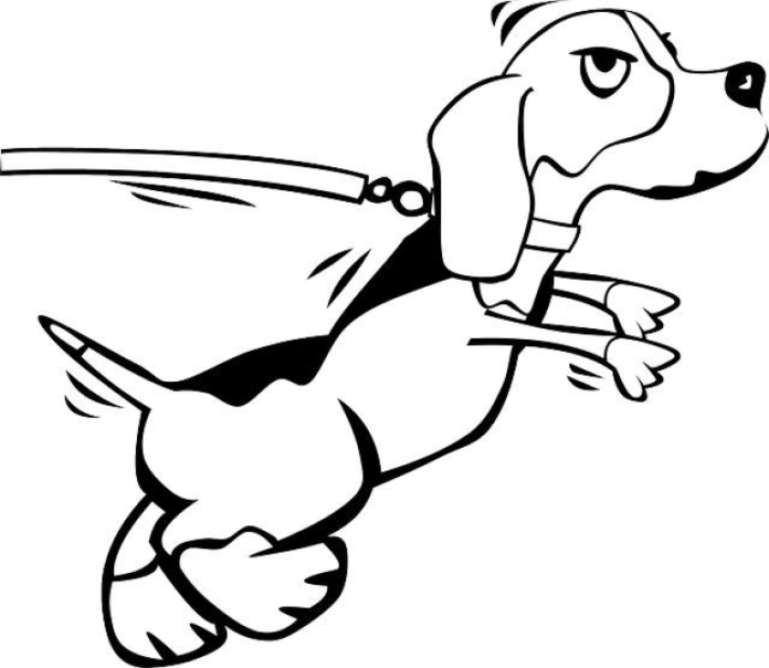 understanding-canine-behavior-unraveling-the-mystery-of-dog-smiles.png Understanding Canine Behavior: Unraveling the Mystery of Dog Smiles