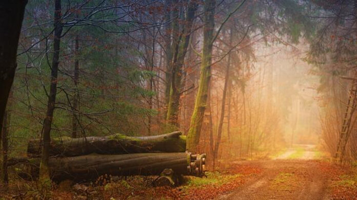 Discover October’s Best National Holidays