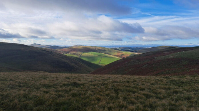 Get Ready to Celebrate November 10th – Your Ultimate Holiday Guide!