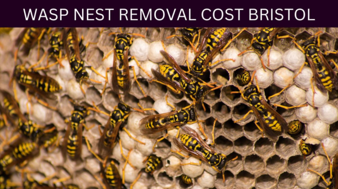 When Your Partner Doesn’t Love You Anymore: What to Do