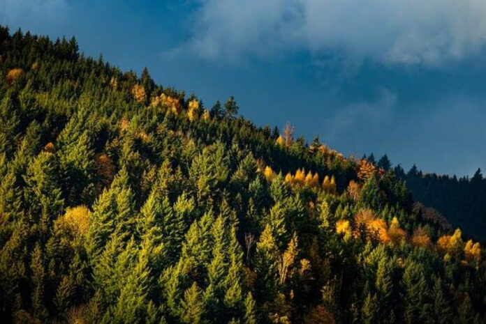 november-holidays-whats-on-the-calendar.jpg November Holidays: What’s on the Calendar