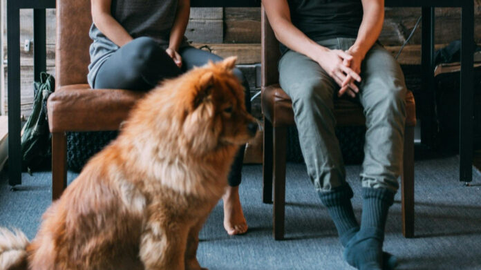 When Your Husband Stops Loving You: Advice for Moving Forward