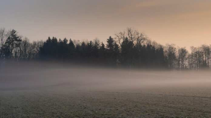 February Fun: Your Guide to Monthly Observances