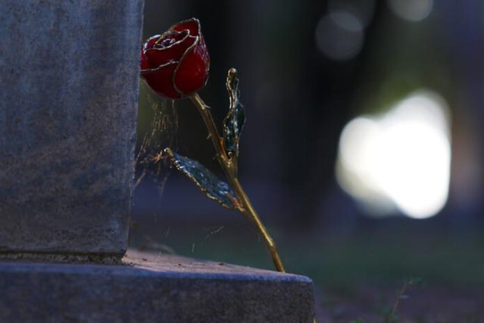 5 Common Gray Divorce Regrets: Expert Advice for Moving Forward
