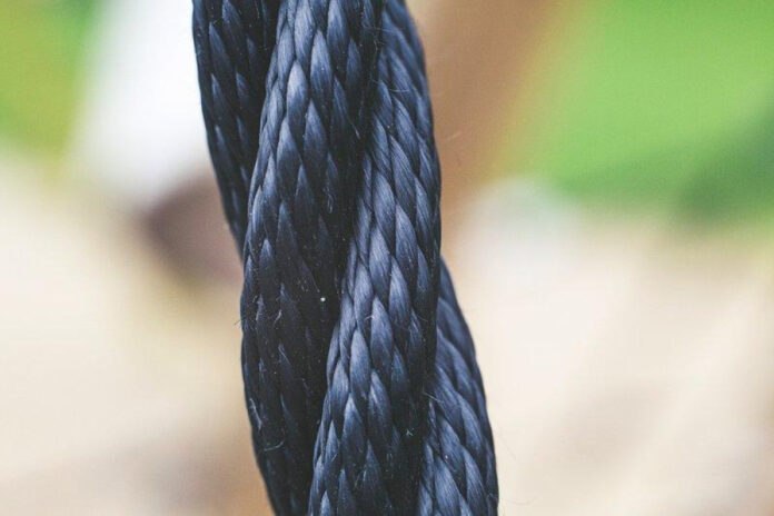 Ultimate Guide to Nylon Dog Bone: Tips for Choosing the Best One