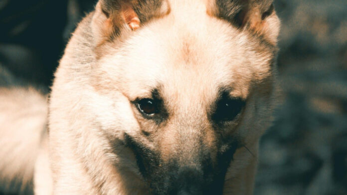 Understanding Resentment in Marriage: Causes and Solutions