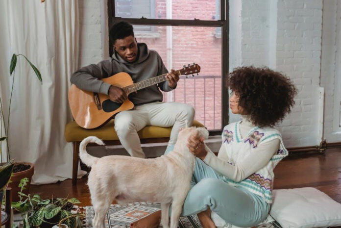 The Science of Canine-Approved Tunes: The Music That Dogs Love