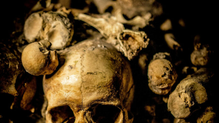 The Benefits of Nylon Bone for Dogs: A Comprehensive Guide