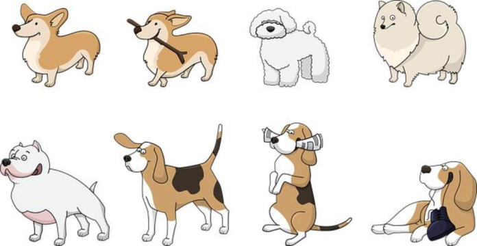 top-10-dog-breeds-that-are-best-with-cats.png Top 10 Dog Breeds That Are Best with Cats