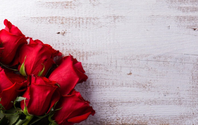 Love at First Meeting: Navigating the First Time Meeting the Parents