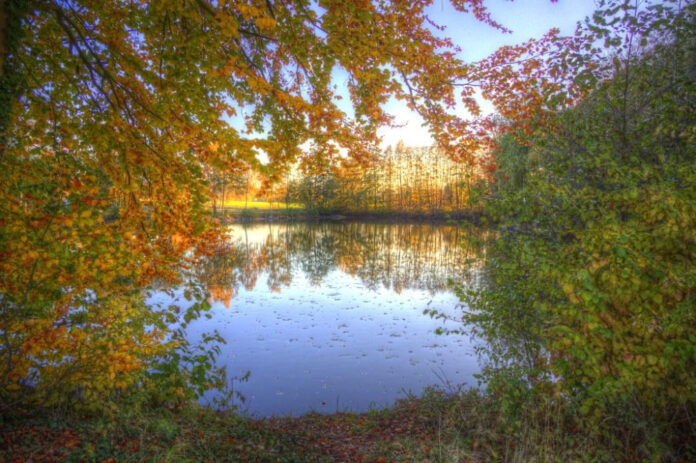 November: The Most Mysterious Days of the Year