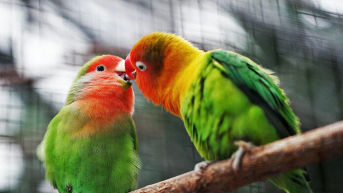 Romantic Indoor Activities for Couples Near Me