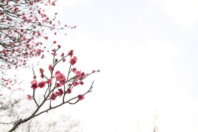 Uncover Exciting March Holidays: Discover the Unexpected