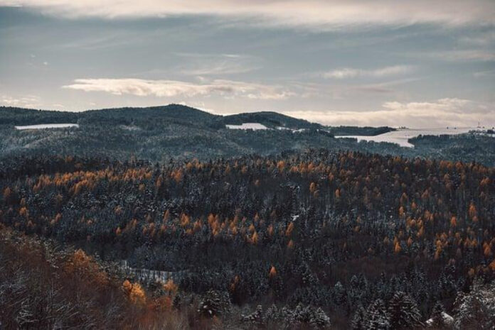 November 21: Uncover the Most Epic Holidays & Observances!