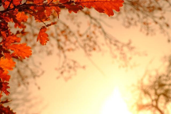unforgettable-october-days-to-celebrate.jpg Unforgettable October: Days to Celebrate!