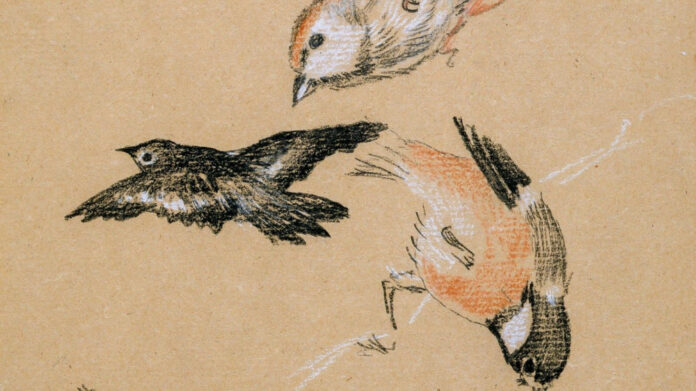 Timeless Vintage Wedding Hairstyles for the Romantic Bride