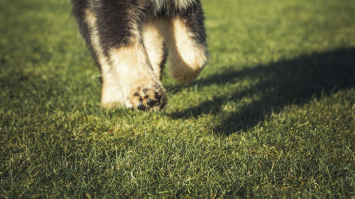 Embracing the Possibility of Multiple Soulmates