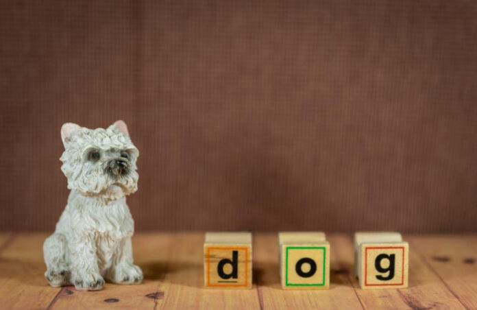 the-ultimate-guide-to-wood-dog-toys-benefits-durability-and-selection-tips.jpeg The Ultimate Guide to Wood Dog Toys: Benefits, Durability, and Selection Tips