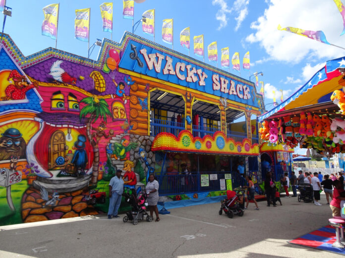 10 Wacky & Wild Show Ideas Guaranteed to Get Viewers Hooked