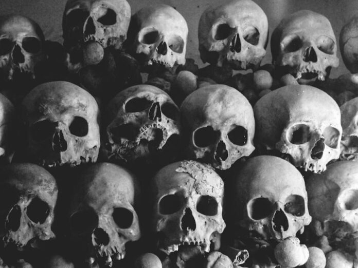 The Significance of Nayla Bones in Modern Archaeology