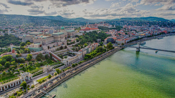 Top Active Dog Breeds: A Comprehensive Guide