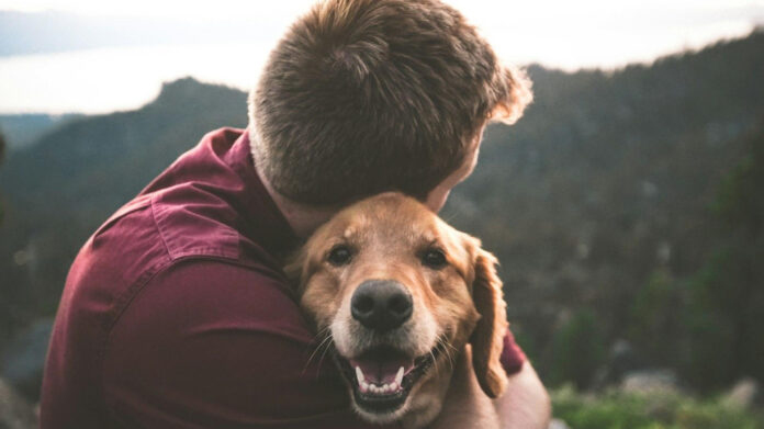 the-low-maintenance-dog-easiest-breeds-to-care-for.jpg The Low-Maintenance Dog: Easiest Breeds to Care for