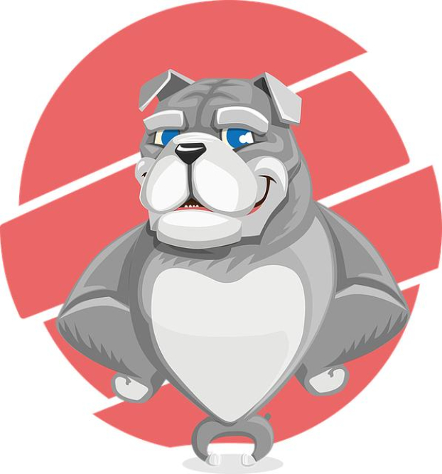 discover-the-best-dog-friendly-cats-for-your-family.png Discover the Best Dog-Friendly Cats for Your Family