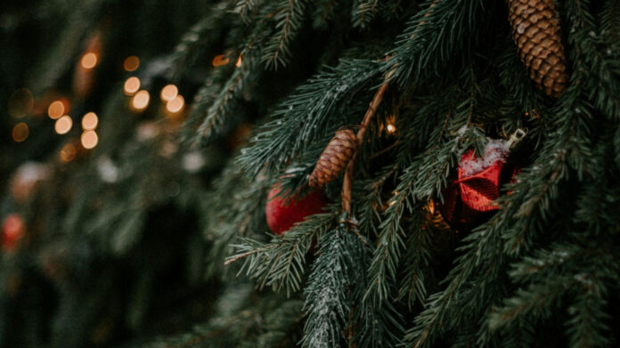 Yule Love These 20 Cool Christmas Words!