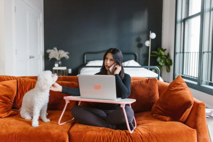 The Truth About Toy Poodle Hypoallergenic Qualities