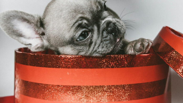 Holiday Charades: Free Printables for Hilarious Fun