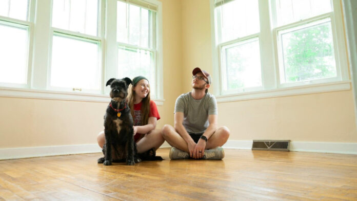 creating-the-perfect-dog-room-in-your-home-design-tips-and-ideas.jpg Creating the Perfect Dog Room in Your Home: Design Tips and Ideas