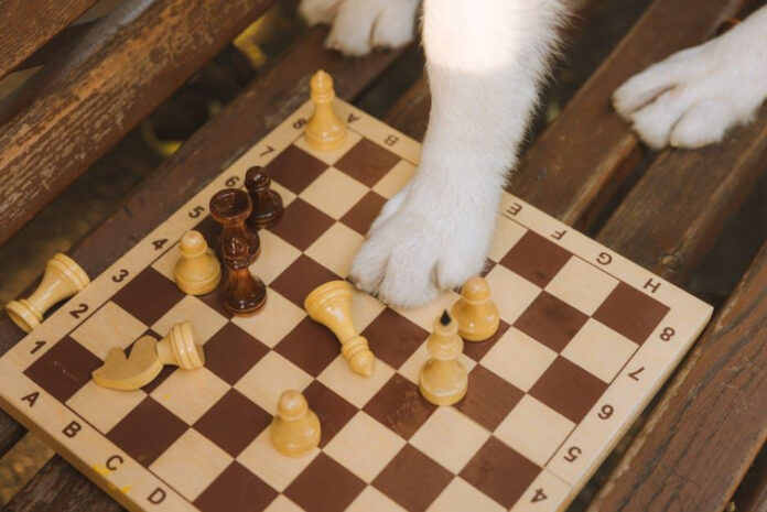 Sherrards Game: The Ultimate Guide to Winning Big