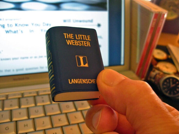 Top Small Hairy Dog Breeds A Comprehensive Guide Animascorp