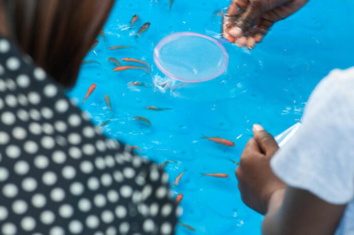 Dive into these hilarious fishbowl game word ideas!