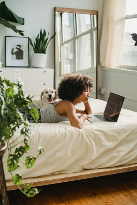top-small-dog-breeds-analyzing-the-best-options.jpeg Top Small Dog Breeds: Analyzing the Best Options