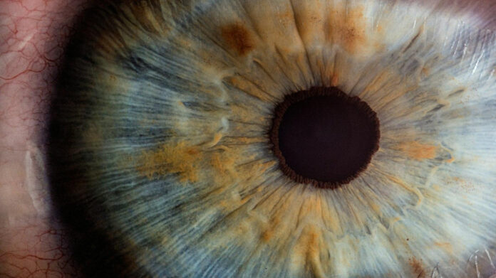 captivating-eyes-how-to-look-away-and-still-admire.jpg Captivating eyes: How to look away and still admire