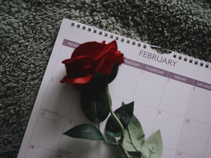 Lost Love: Finding Happiness When You No Longer Love Your Husband