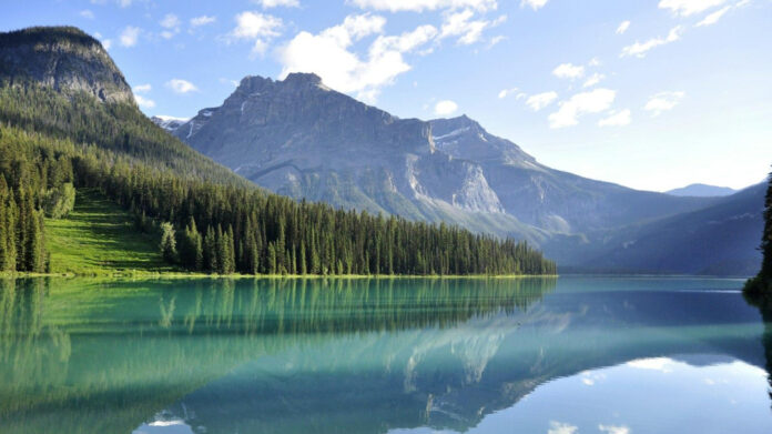 Get Festive with National Lampoon’s Christmas Vacation Cards!