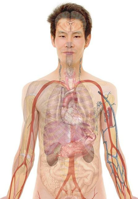 embracing-body-confidence-overcoming-insecurities.jpg Embracing Body Confidence: Overcoming Insecurities
