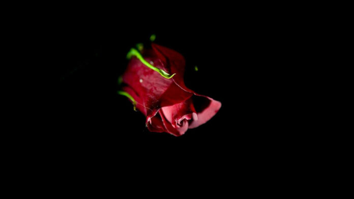 rekindling-romance-the-key-to-a-happy-marriage.jpg Rekindling Romance: The Key to a Happy Marriage